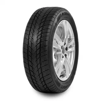 255/50R19 Davanti 107V Wintoura SUV zim 