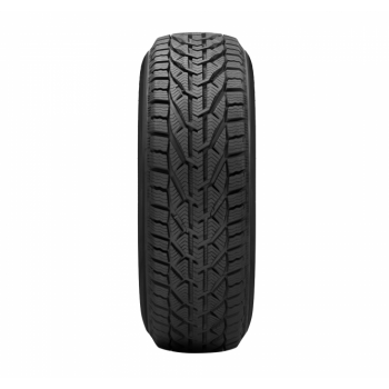 225/45R17 RIKEN 94V SNOW MS zim 